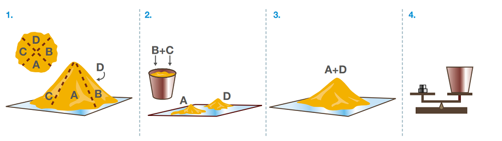 Illustration of the coning and quartering grain sampling method